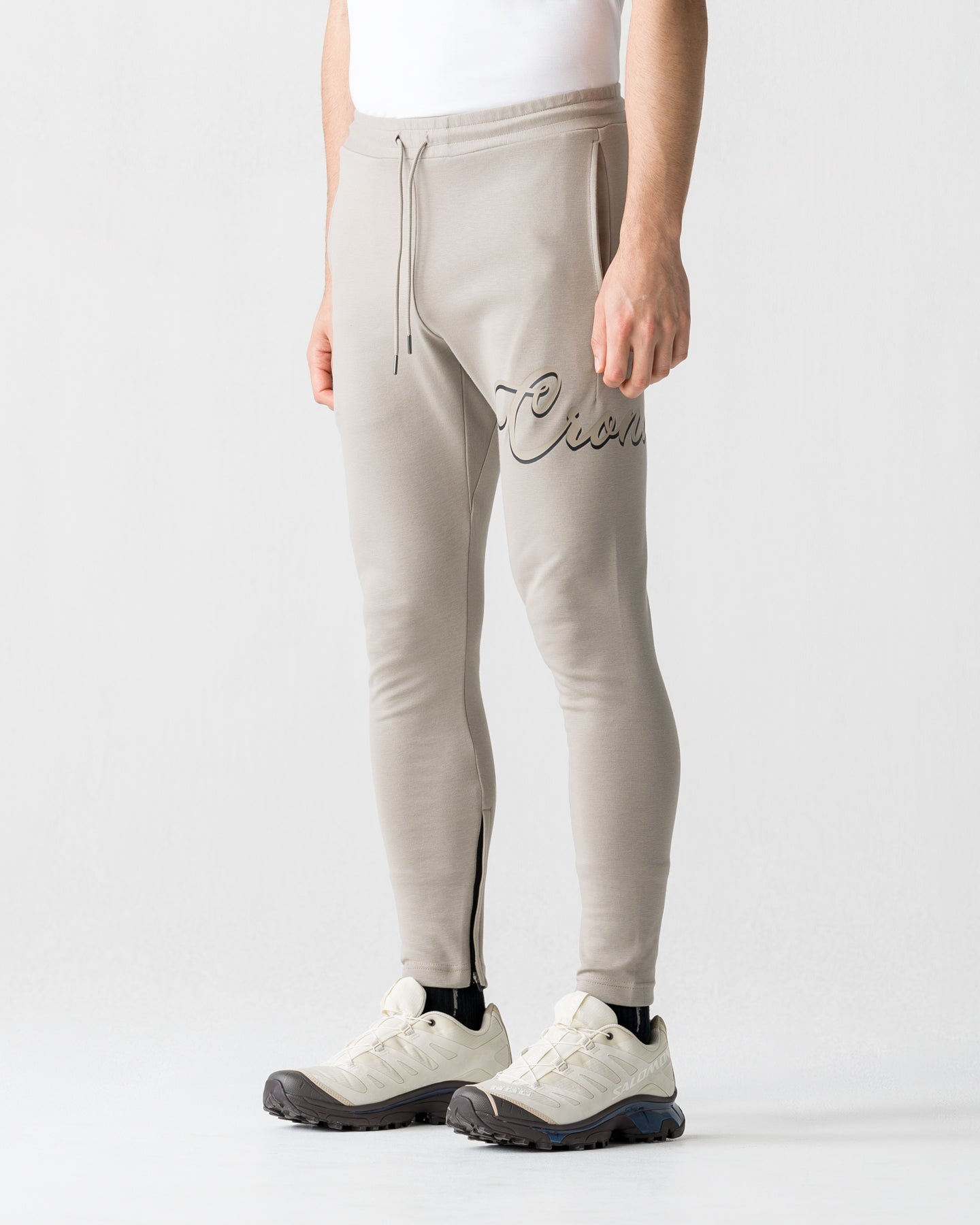 CRONOS HIGH TENSION SCRIPT SKINNY PANTS【GREIGE】