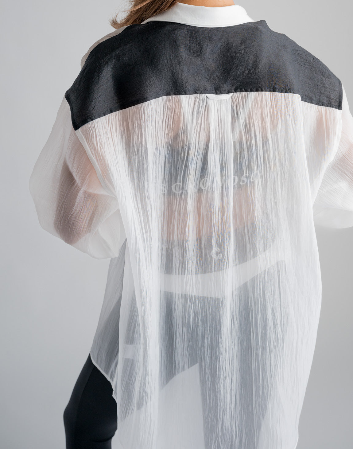 CRONOS WOMEN SHEER SHIRTS【WHITE】 – クロノス CRONOS