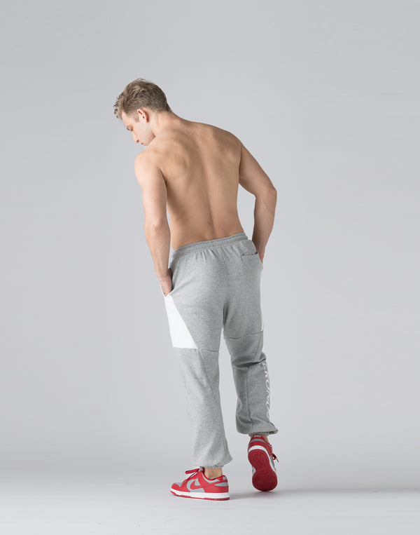 CRONOS Brushed lining pants【M.GRAY】