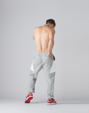 CRONOS Brushed lining pants【M.GRAY】