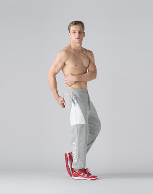 CRONOS Brushed lining pants【M.GRAY】