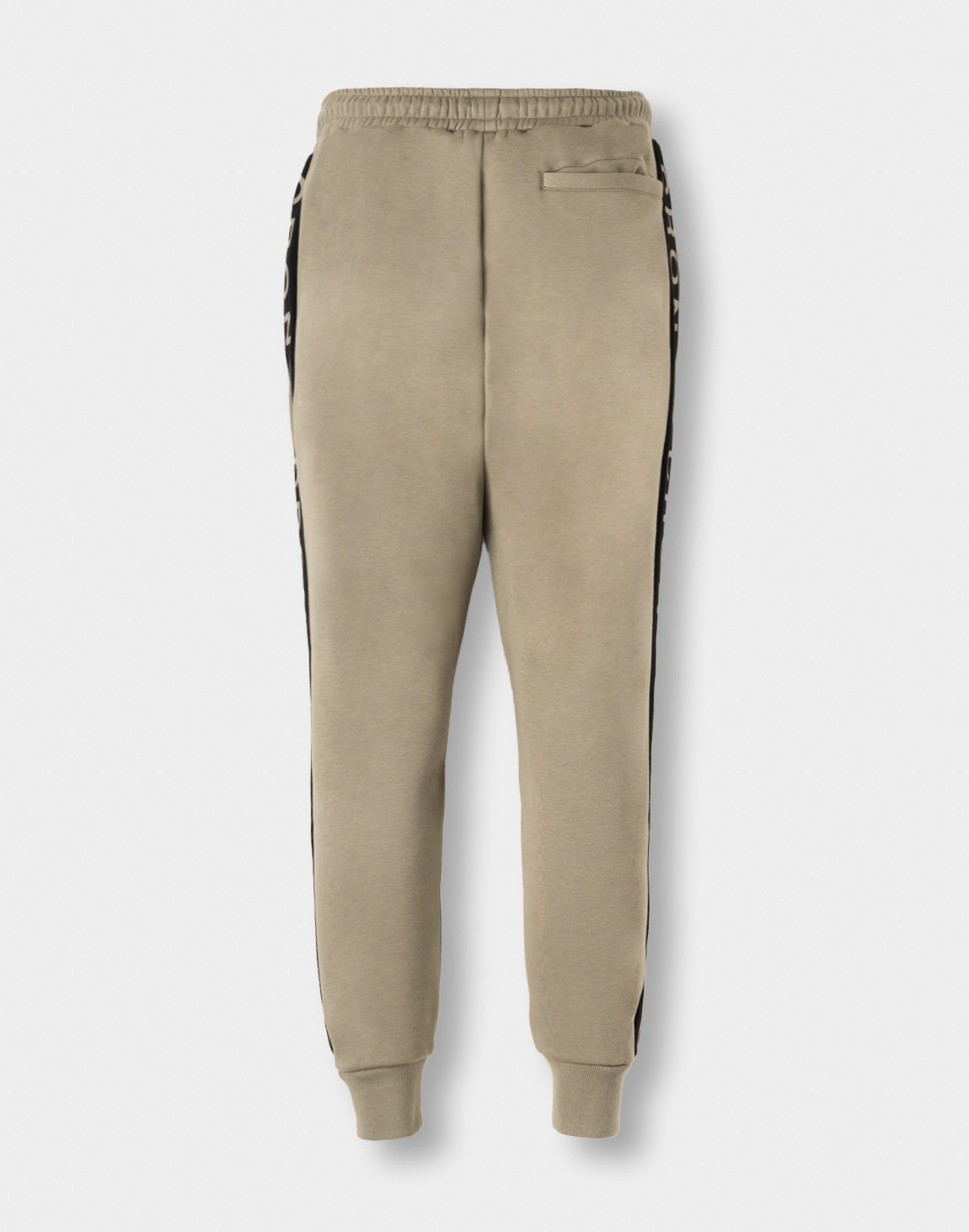 CRONOS ASCENT Pants【TAUPE】