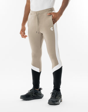 CRONOS ASCENT TRACK Pants【GREIGE】