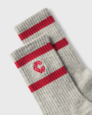 CRONOS WOMEN Smooth Style Socks【GRAY】