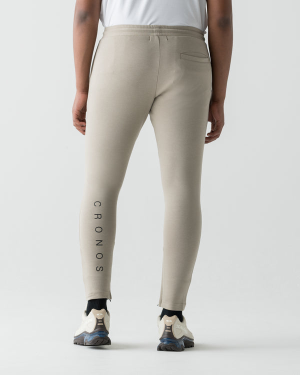 CRONOS HIGH-STRETCH SKINNY PANTS【GREIGE】