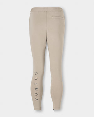 CRONOS HIGH-STRETCH SKINNY PANTS【GREIGE】
