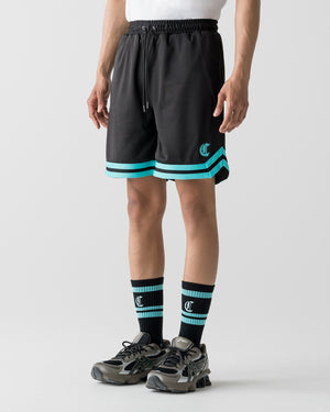 CRONOS LOGO LINE SOCKS【T.BLUE】
