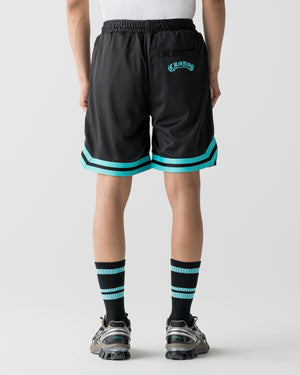 CRONOS LOGO LINE SOCKS【T.BLUE】