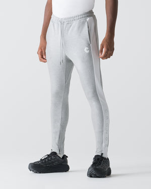 CRONOS BOLD LINE SKINNY PANTS【M.GRAY】