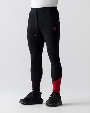 CRONOS  SEGMENT SKINNY PANTS【BLACK×RED】