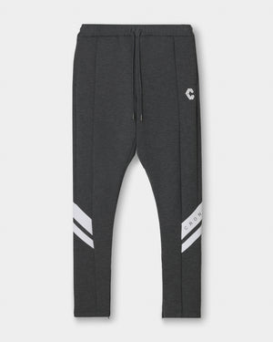 CRONOS DUAL PANEL SKINNY PANTS【M.C.GRAY】