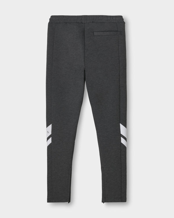 CRONOS DUAL PANEL SKINNY PANTS【M.C.GRAY】