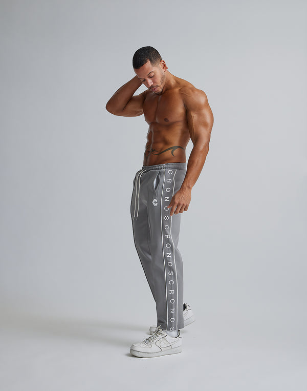 CRONOS TRUCK LONGPANTS [GRAY]