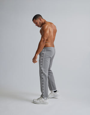 CRONOS TRUCK LONGPANTS [GRAY]