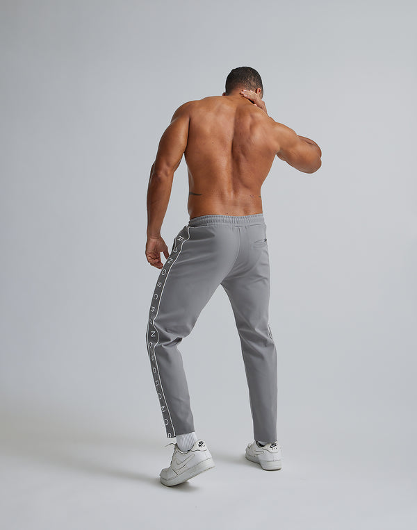 CRONOS TRUCK LONGPANTS [GRAY]