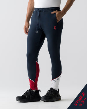 CRONOS  SEGMENT SKINNY PANTS【NAVY】
