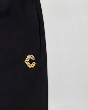 CRONOS HIGH-STRETCH SKINNY PANTS【BLACK×GOLD】