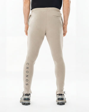 CRONOS HIGH-STRETCH SKINNY PANTS【GREIGE】