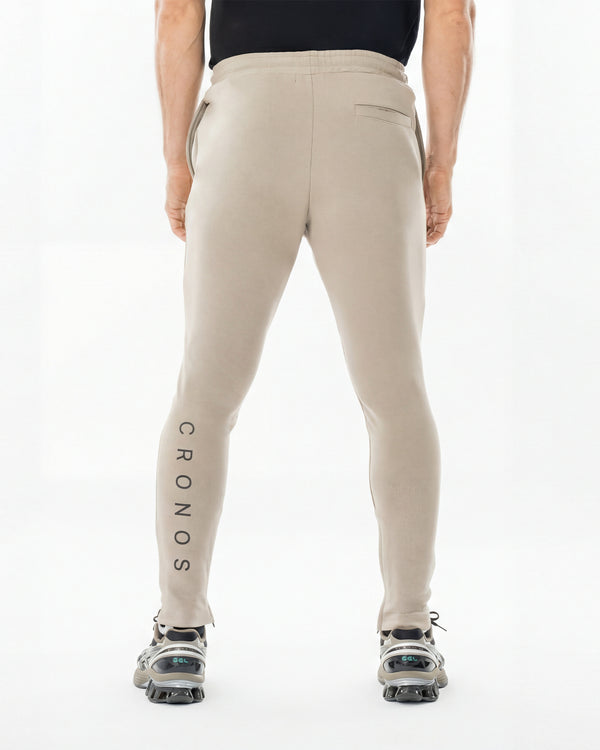 CRONOS HIGH-STRETCH SKINNY PANTS【GREIGE】