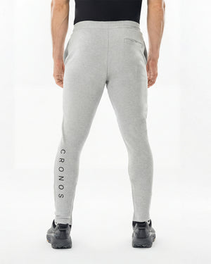 CRONOS HIGH-STRETCH SKINNY PANTS【M.GRAY】